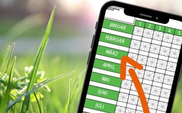 Tipp vom Fachmann: Frühjahrsregeneration?