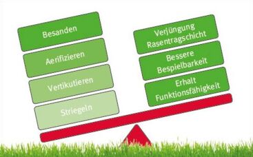 Alterung der Rasentragschicht und die Folgen