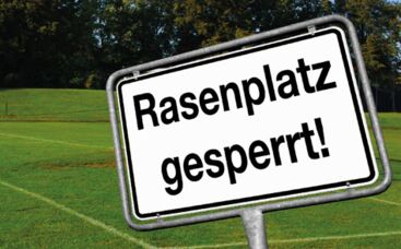 Nachsaatverfahren - kostengünstige Alternative zum Rollrasen